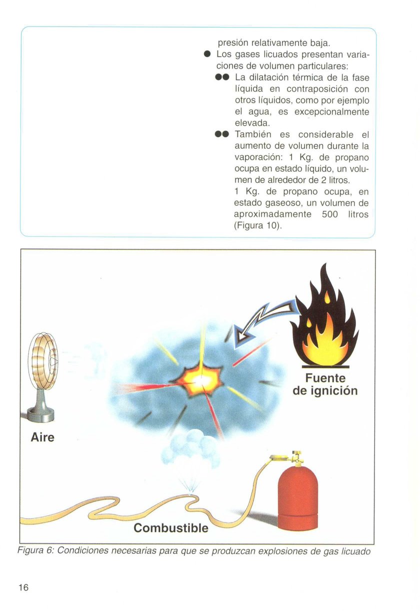 prgases (11)